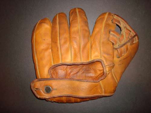 Bruce Campbell Reach 228 Back